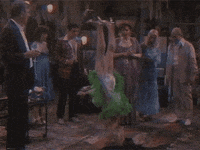 life of the party vhs GIF by rotomangler