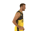 Ewe Baskets Basketball Sticker by EWE Baskets Oldenburg