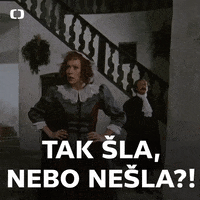 Ceska Televize GIF