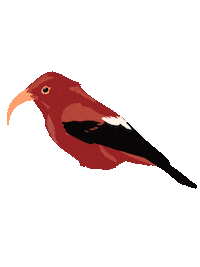 Bird Sticker