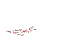 Bricks Babywearing Sticker by Didymos