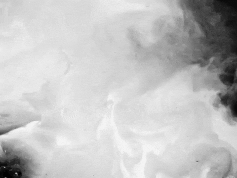 Shut Up GIF by Nettspend