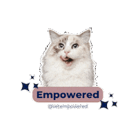 vetempowered vetempowered radgoll cats Sticker