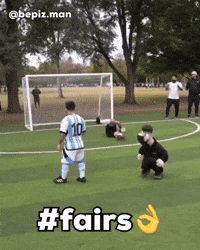 Wallace And Gromit Fairs GIF
