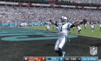 carolina panthers football GIF by NFL