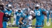 carolina panthers football GIF by NFL