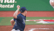Home Run Canada GIF by Toronto Blue Jays