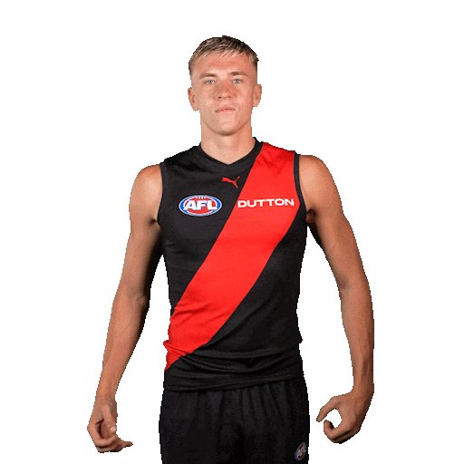 Football Sport Sticker by Essendon FC