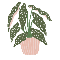 Plant Lover Sticker by Crafter's Companion