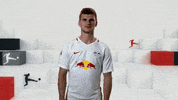 football what GIF by Bundesliga