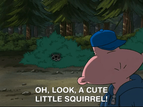 hey arnold nicksplat GIF