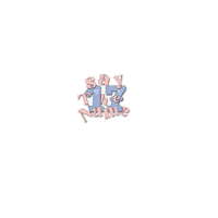 세븐틴 Carat Sticker