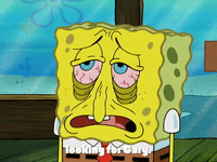 season 4 episode 3 GIF by SpongeBob SquarePants