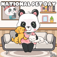 Cat Dog GIF by PandaPals