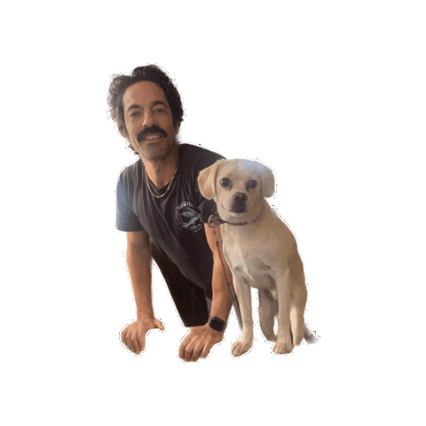 Best Friends Dog Sticker