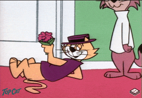 crushing in love GIF by Boomerang Official