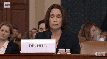 news impeachment impeachment inquiry opening statement fiona hill GIF