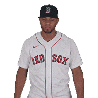 Point Up Red Sox Sticker by Boston Red Sox