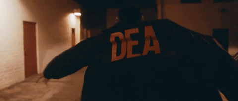 dea say less GIF by Dillon Francis