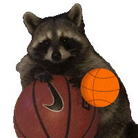 Sport Basketball Sticker