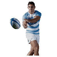 Argentina Rugby Sticker by icbc