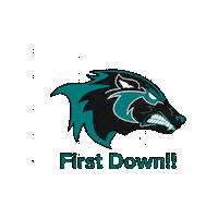 AlisoNiguelFootball football anhs aliso football anhs football Sticker