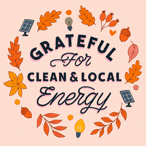 Solar Panels Fall GIF by INTO ACTION