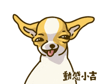 Animation Dog GIF