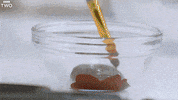 bbc two cooking GIF by BBC