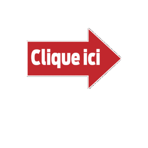 SudOuest giphygifmaker video pfe sudouest Sticker