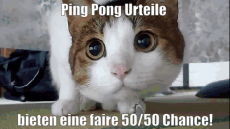 50/50 justiz GIF