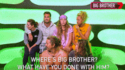 Big Brother Dave GIF by Big Brother Australia