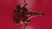 Pop Star Dancing GIF by Tate McRae