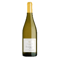 White Wine Sans Alcool Sticker by PierreChavin