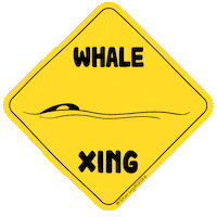 Travel Sign Sticker by Sharing Alaska