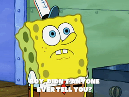 season 7 greasy buffoons GIF by SpongeBob SquarePants