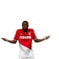Ligue 1 Football Sticker by AS Monaco