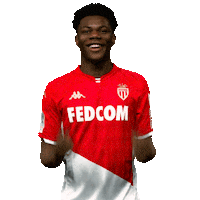 Ligue 1 Football Sticker by AS Monaco