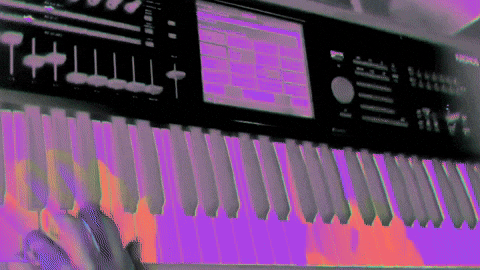 narfsounds keyboard synth korg keyboardist GIF