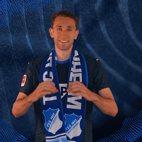 Sport Bundesliga GIF by TSG Hoffenheim