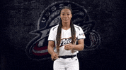 Florida Softball GIF by USSSA Pride