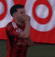 Regular Season Sport GIF by Major League Soccer