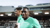 Scp GIF by Sporting CP