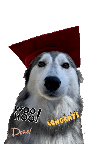 We Did It Dog Sticker