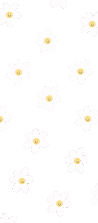 TheBusyTeacherCo background daisy tbtco Sticker