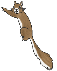 Squirrel Chipmunk Sticker