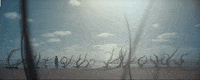 music video GIF