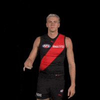 Afl Footy GIF by Essendon FC