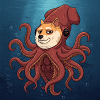 Shiba Inu Swimming GIF by Doge Pound
