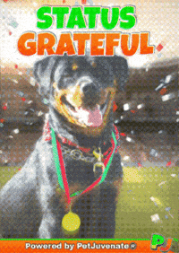 Henlo Hooman Fren GIF by PetJuvenate - PJ